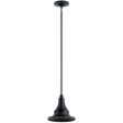 Kichler Hampshire Outdoor Pendant 1Lt For Sale