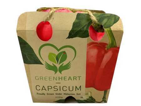 Greenheart Red Capsicum (Malaysia) 1pack on Sale