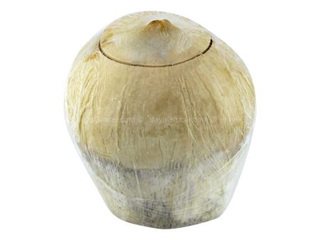 Fresh Aromatic Coconut 1unit Online now