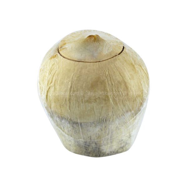 Fresh Aromatic Coconut 1unit Online now