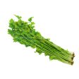 Chinese Celery (Daun Sup) (Malaysia) 100g Online