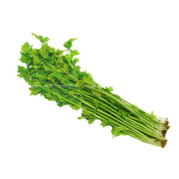 Chinese Celery (Daun Sup) (Malaysia) 100g Online