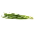 Cameron Garden Chives (Daun Kuchai) (Malaysia) 100g Online Hot Sale