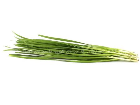 Cameron Garden Chives (Daun Kuchai) (Malaysia) 100g Online Hot Sale