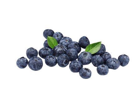 Blueberry Supply