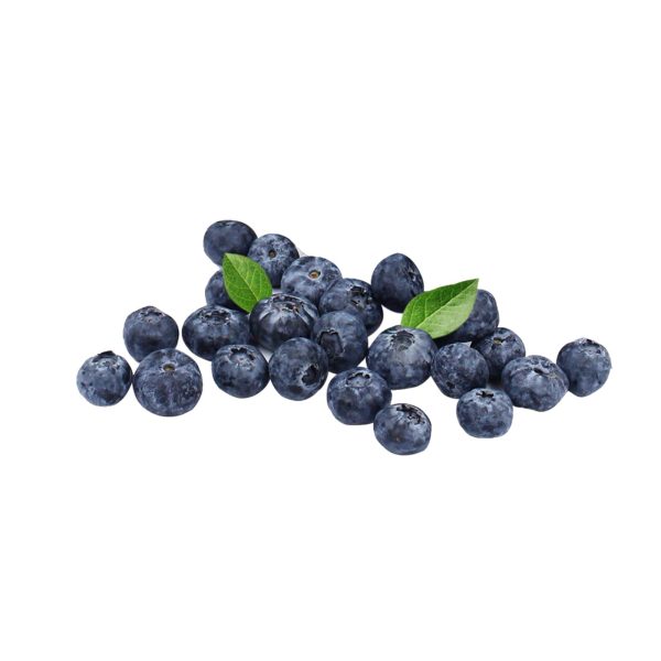 Blueberry Supply