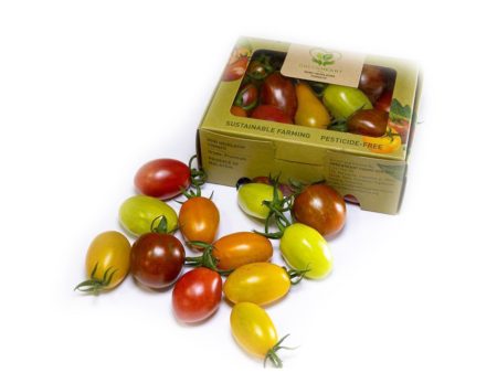 Green Heart Mini Heirloom Tomato (Malaysia) 250g Online Hot Sale