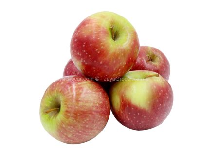 Crisp Red Apple (South Africa) 8pcs pack Online Sale