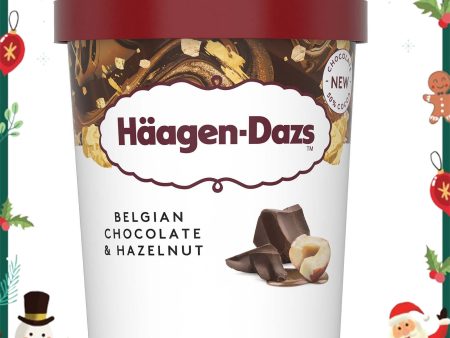 Haagen Dazs Belgian Chocolate and Hazelnut Ice Cream 473ml For Sale