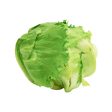 Genting Garden Iceberg Lettuce (Malaysia) 1pack Discount