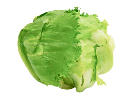 Genting Garden Iceberg Lettuce (Malaysia) 1pack Discount